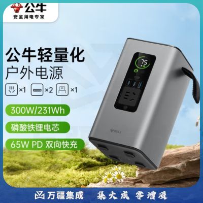 公牛300W快充移动户外电源220V PD65W快充 约7.2万mAh磷酸铁鲤电芯露营停电应急备用笔记本充电宝230Wh GNV-Y13