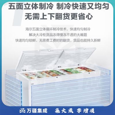 海尔冰柜商用大容量全冷冻家用冷藏冷冻两用一键转换-38度超低温冷柜海鲜速冻保鲜柜500升以上 五面制冷约1200斤｜830HCZ