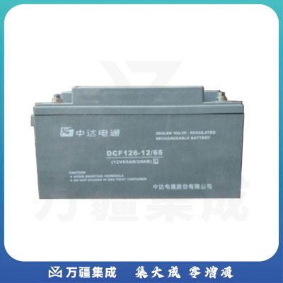 台达 DCF126 -12/65（10H） 电池