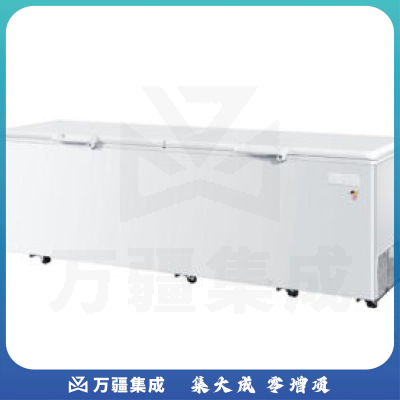 海尔（Haier） 卧式冷柜顶盖门单温冷冻冷藏转换冰柜 BC/BD-828T 828升