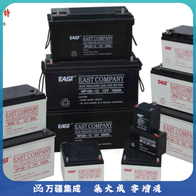 EAST易事特铅酸免维护蓄电池12V65AH (NP65-12)