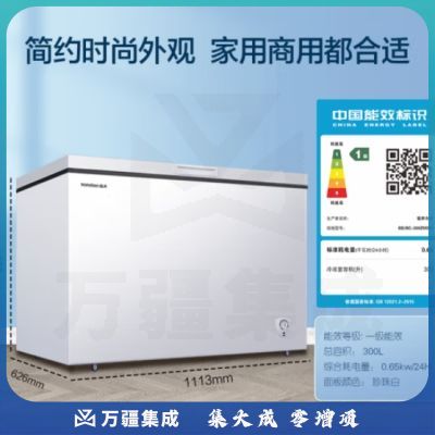 容声（Ronshen）300升低霜大容量冰柜商用冷藏冷冻转换冷柜 一级能效 雪糕冰柜 厨房卧式冰箱BD/BC-300ZMSM