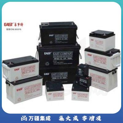 EAST易事特铅酸免维护蓄电池12V65AH (NP65-12)（单位：个）