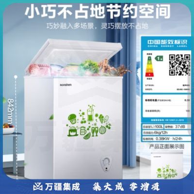 容声（Ronshen） 100升低霜冰柜冷藏冷冻转换单温冷柜 一级能效 顶开门小冰柜小冰箱BD/BC-100MB