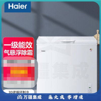 海尔（Haier）BC/BD-203D 冰柜冷柜