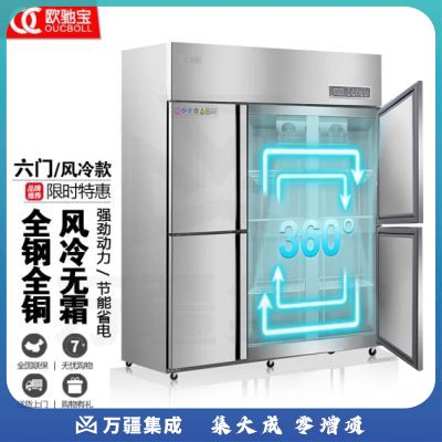 欧驰宝立式冷冻柜四门冰箱大容量饭店餐饮店后厨 不锈钢厨房冰箱六开门商用冰柜 六门B款/风冷【1800*680*1930】