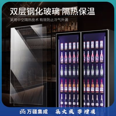 澳柯玛（AUCMA）628升冷藏展示柜双开门保鲜柜立式冰柜冰箱啤酒饮料商用网红KTV酒吧便利店 双门全面屏 LSC-625D