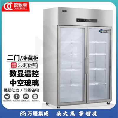 欧驰宝立式冷冻柜四门冰箱大容量饭店餐饮店后厨 不锈钢厨房冰箱六开门商用冰柜 两门A款/冷藏