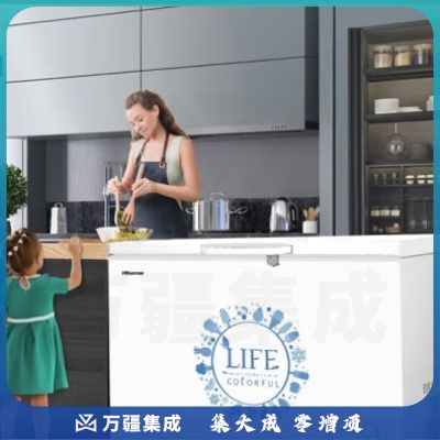 海信 (Hisense) 冰柜家用商用单温大冷柜308升 冷冻冷藏大容量一级能效保鲜柜BD/BC-308NU/A
