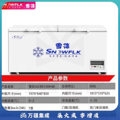 雪花（SNOWFLK）冰柜商用家用大容量卧式冰柜冷柜冷藏冷冻转换柜 GX/BX1X0H48