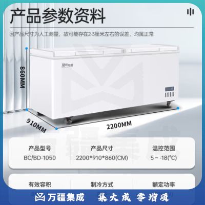 顶邦（DINGBANG)商用冰柜大容量 速冻低温冷柜 卧式单温全冷冻冻肉海鲜家用急冻冷柜BD/BC-1050