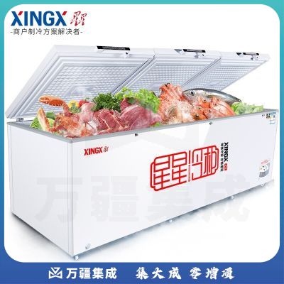 星星（XINGX）冰柜商用13 88升卧式大冷柜 冷藏冷冻转换保鲜冰箱 零下26度雪糕冰冻柜BD/BC-13 88G