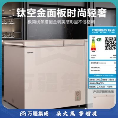 容声（Ronshen） 210升大容量冰柜商用冷藏冷冻双温冷柜 一级能效 独立双温 卧式厨房冰箱BCD-210MSA