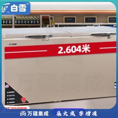白雪 冰柜商用1050升大容量 冷藏冷冻单温转换冷柜 低温卧式顶开门海鲜食材冻货雪柜BD/C-1050FDU