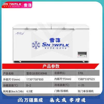 雪花（SNOWFLK）冰柜商用家用大容量卧式冰柜冷柜冷藏冷冻转换柜 GX/BX7X9H8