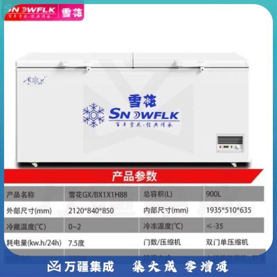雪花（SNOWFLK）冰柜商用家用大容量卧式冰柜冷柜冷藏冷冻转换柜 GX/BX1X1H8
