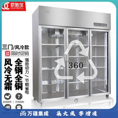 欧驰宝立式冷冻柜四门冰箱大容量饭店餐饮店后厨 不锈钢厨房冰箱六开门商用冰柜 三门B款/风冷