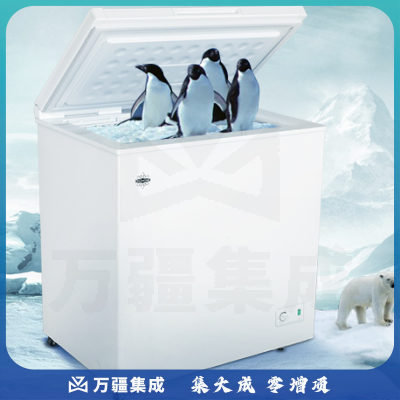 晶弘 BC/BD-162D2 162升冰柜 白色小型冷柜
