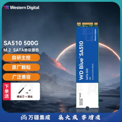 西部数据（WD）SSD固态硬盘NGFF m.2（SATA协议）2280 笔记本台式机固态硬盘 Blue蓝盘500G（WDS500G3B0B）