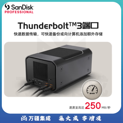 闪迪大师极锐 致镜48TB 双盘位企业级桌面移动硬盘 G-RAID™ 磁盘列阵双雷电3接口内置7200转高速桌面存储