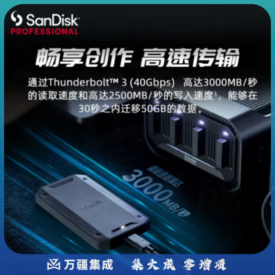 闪迪大师 PRO-G40 移动固态硬盘（PSSD）1TB 外置固态硬盘 雷电3 兼容USB3.2 Gen2 高速传输 IP68三防保护
