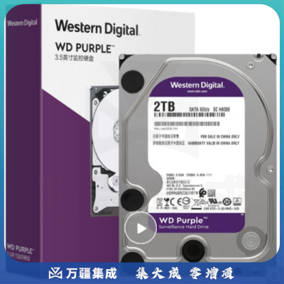 西部数据 紫盘 2TB SATA6Gb/s 64M 监控硬盘(WD20EJRX)