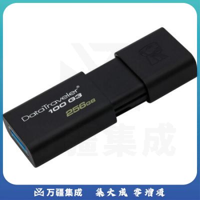 金士顿（Kingston）256G DT100G3系统 USB3.0 优盘 高速U盘