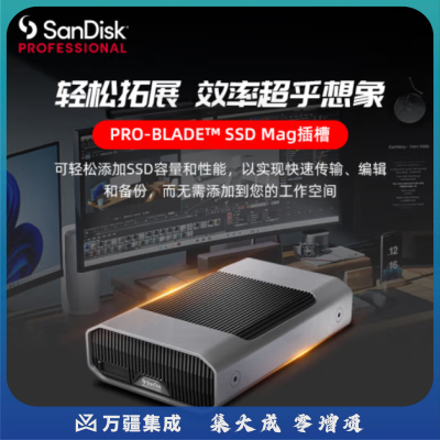 闪迪大师极客 致捷 6TB 企业级桌面移动硬盘 机械硬盘雷电3兼容USBType-C 3.5英寸大容量读取速度250MB/S