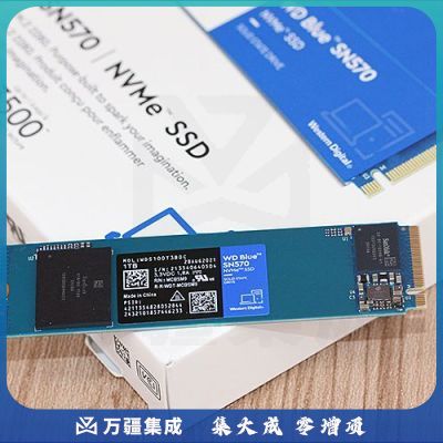 西部数据（WD） Blue SN570 NVMe SSD固态硬盘 M.2接口（NVMe协议） SSD固态硬盘（+螺丝钉 套装版） 500GB
