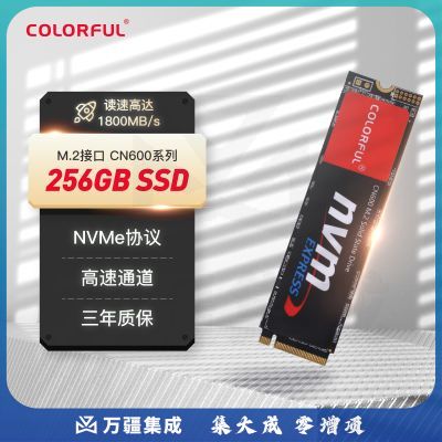 七彩虹(Colorful) 256GB SSD固态硬盘 M.2接口(NVMe协议) CN600系列