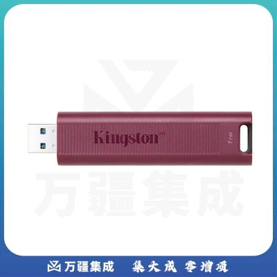 1101154517EA 金士顿 DTMAXA U盘 USB3.2 Gen2接口 1TB 玫红色
