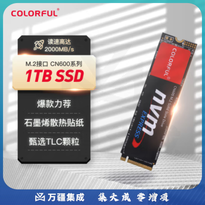 七彩虹(Colorful) 1TB SSD固态硬盘 M.2接口(NVMe协议) CN600系列 TLC颗粒