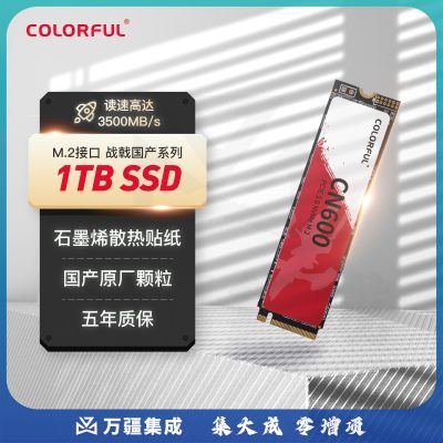 七彩虹(Colorful) 1TB SSD固态硬盘 M.2接口(NVMe协议) CN600战戟国产系列 读速高达3500MB/s