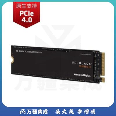 西部数据（WD） BLACK SN850 NVMe SSD固态硬盘 M.2接口PCIe Gen4 SSD固态硬盘（+螺丝钉 套装版） 500GB