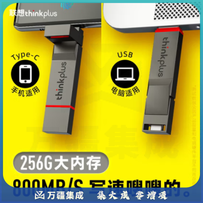 联想thinkplus双接口固态u盘高达1000MB/S usb/type-c手机高速大容量办公优盘 TU280 Pro【256G】