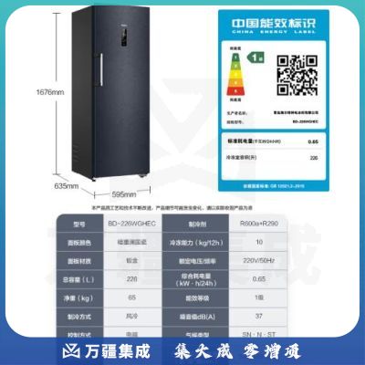 海尔（Haier） 226升 -40℃一级能效冷变频家用立式冰柜冷藏冷冻柜冷柜小冰柜家用小型冰箱BD-226WGHEC