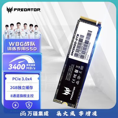 宏碁掠夺者（PREDATOR）2TB SSD固态硬盘 M.2接口(NVMe协议) GM3500系列｜NVMe PCIe3.0读速3400MB/s AI电脑存储配件