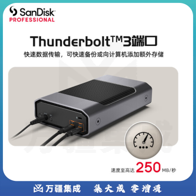 闪迪大师极客 致捷 18TB 企业级桌面移动硬盘机械硬盘雷电3兼容USB Type-C 3.5英寸大容量读写速度260MB/S