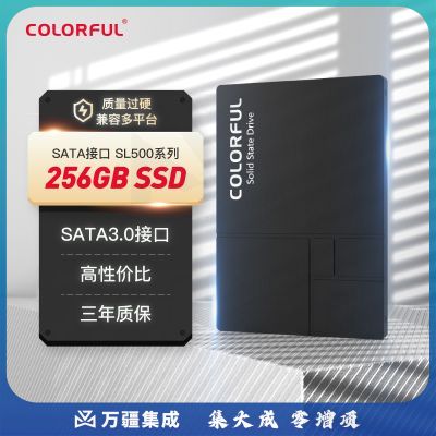 七彩虹(Colorful) 256GB SSD固态硬盘 SATA3.0接口 SL500系列