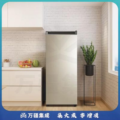 海尔（Haier）193升匀冷家用立式冰柜 母乳冷冻柜抽屉式冷柜囤货小型冰箱BD-193MDT