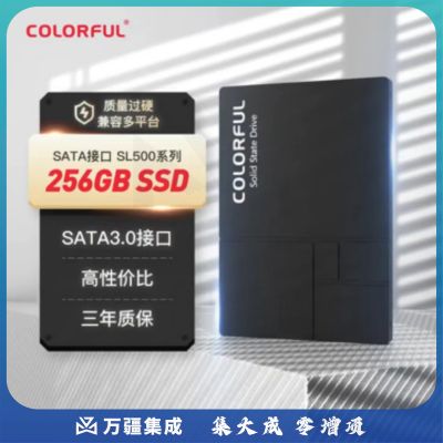 七彩虹(Colorful) 256GB SSD固态硬盘 SATA3.0接口 SL500系列