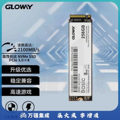 光威 256GB SSD固态硬盘 M.2接口(NVMe协议) Basic-基础版 TLC颗粒