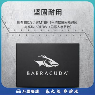 希捷(seagate) 512GB SSD固态硬盘SATA3.0接口 台式机笔记本电脑硬盘 读速高达540MB/s 希捷酷鱼ZA512CV10002  101592
