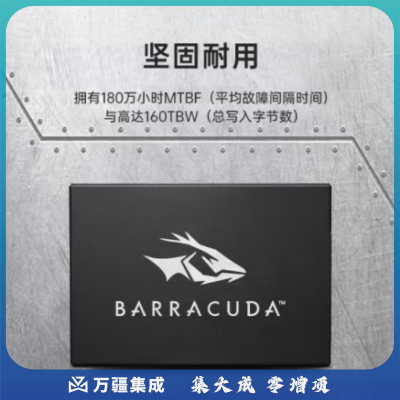希捷(SEAGATE)固态硬盘256g台式ssd  256GB sata接口