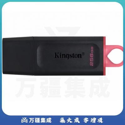 金士顿（Kingston）256GB USB3.2 Gen 1 U盘 DTX 大容量U盘 时尚设计 轻巧便携 学习办公投标电脑通用 DTX/256GB