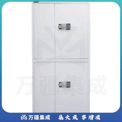 信安伟业国融 保密文件柜 GR-WJG-I （通双节）