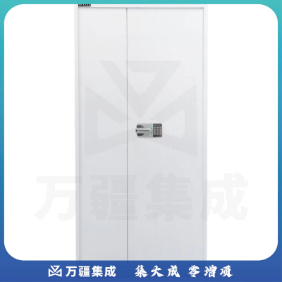 信安伟业国融 保密文件柜 GR-WJG-I（通门）