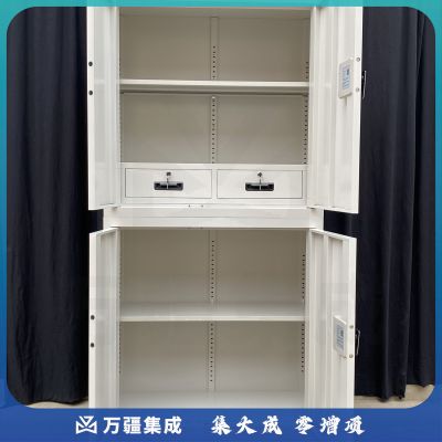 信安伟业国融 保密文件柜 GR-WJG-I（分双节）
