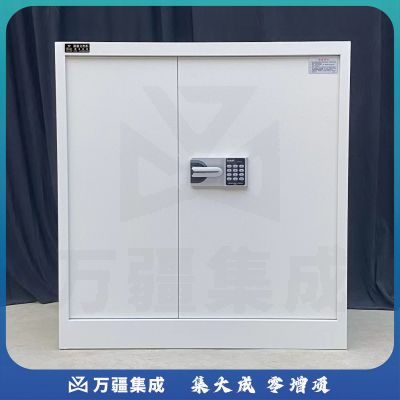 信安伟业国融 保密文件柜 GR-WJG-I （单节）