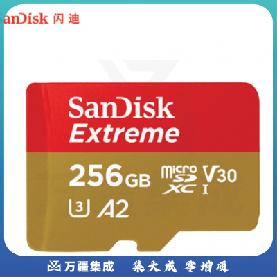 闪迪 256GB TF(MicroSD)存储卡
